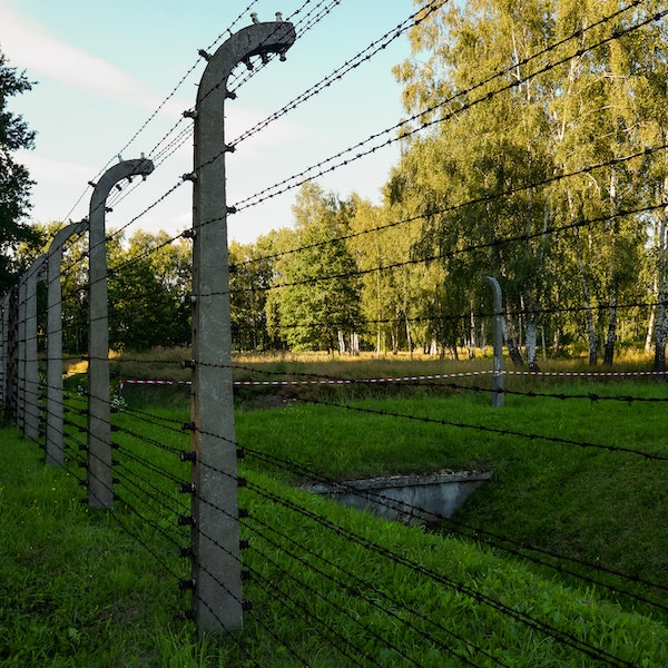 Barbelés & clôture électriques